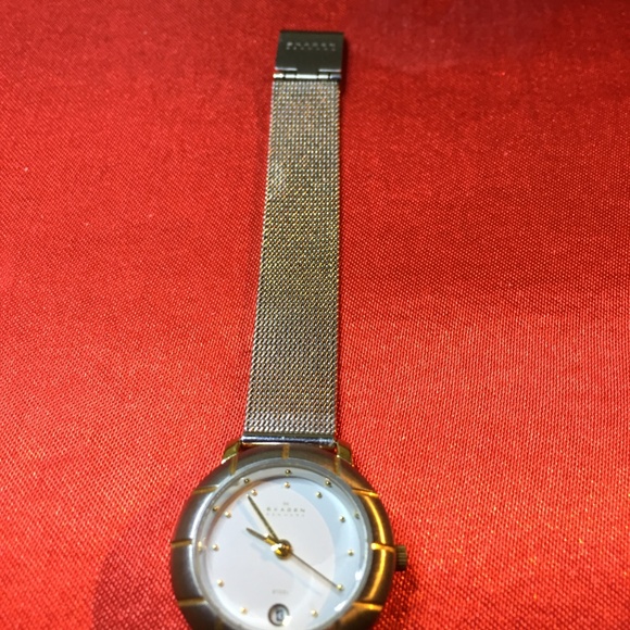 COPY - Skagen Lady\'s Wristwatch, Model 3SGS main image 4